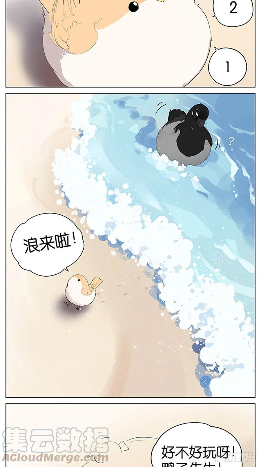 南方的鸟和北方的鸟合集漫画,沙滩上的鸟，夏天啦！2图