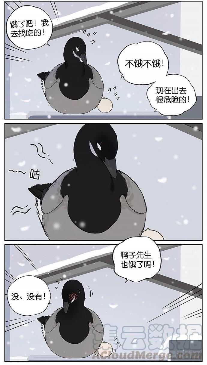 南方的鸟和北方的鸟治愈系漫画漫画,暴风雪。3图