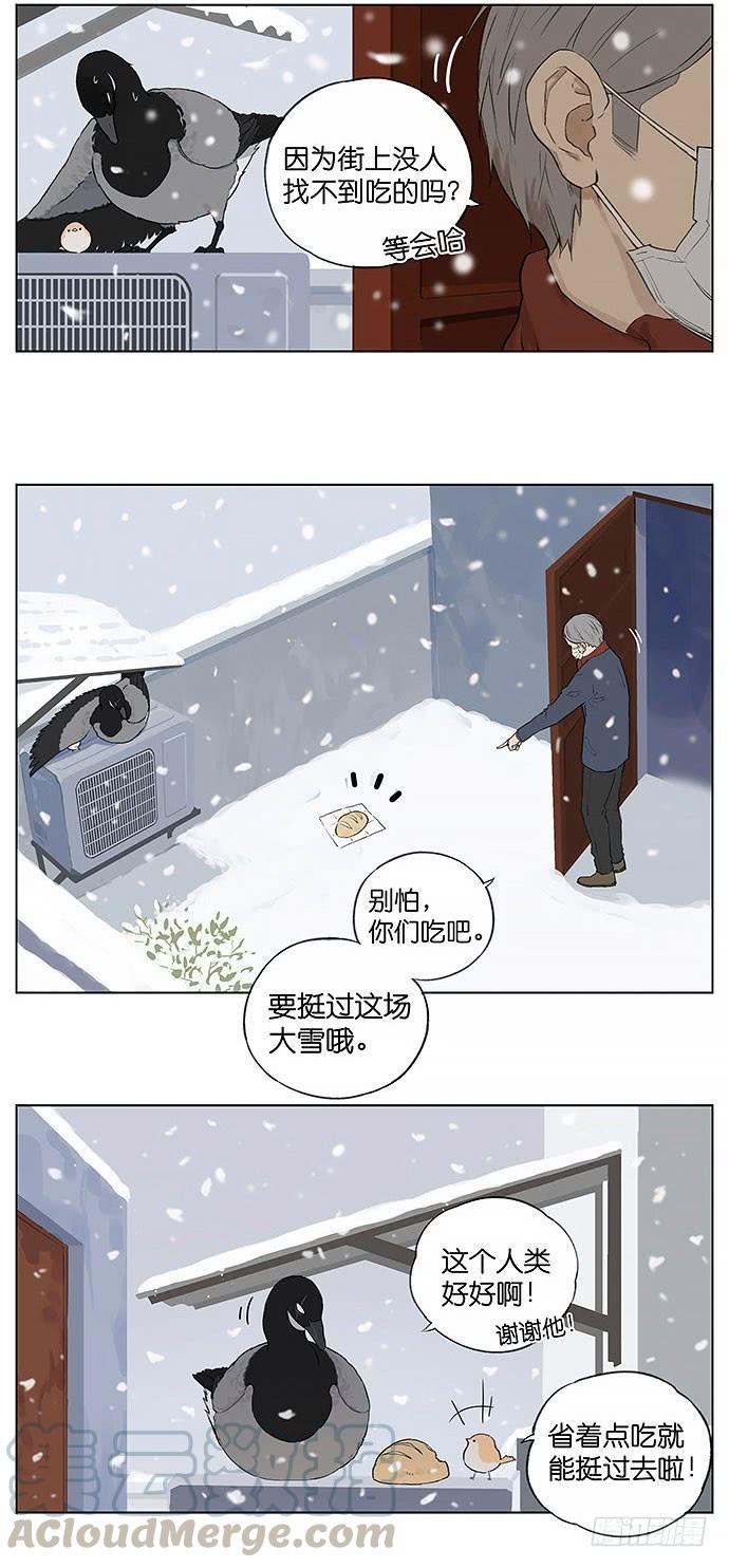 南方的鸟和北方的鸟治愈系漫画漫画,暴风雪。5图