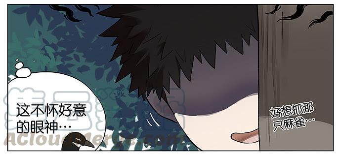 南方的鸟和北方的鸟壁纸漫画,人类好可爱。5图