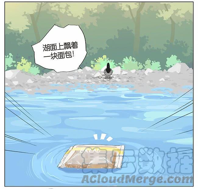 南方的鸟和北方的鸟结局漫画,游泳。3图