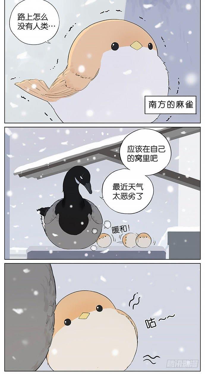 南方的鸟和北方的鸟治愈系漫画漫画,暴风雪。2图