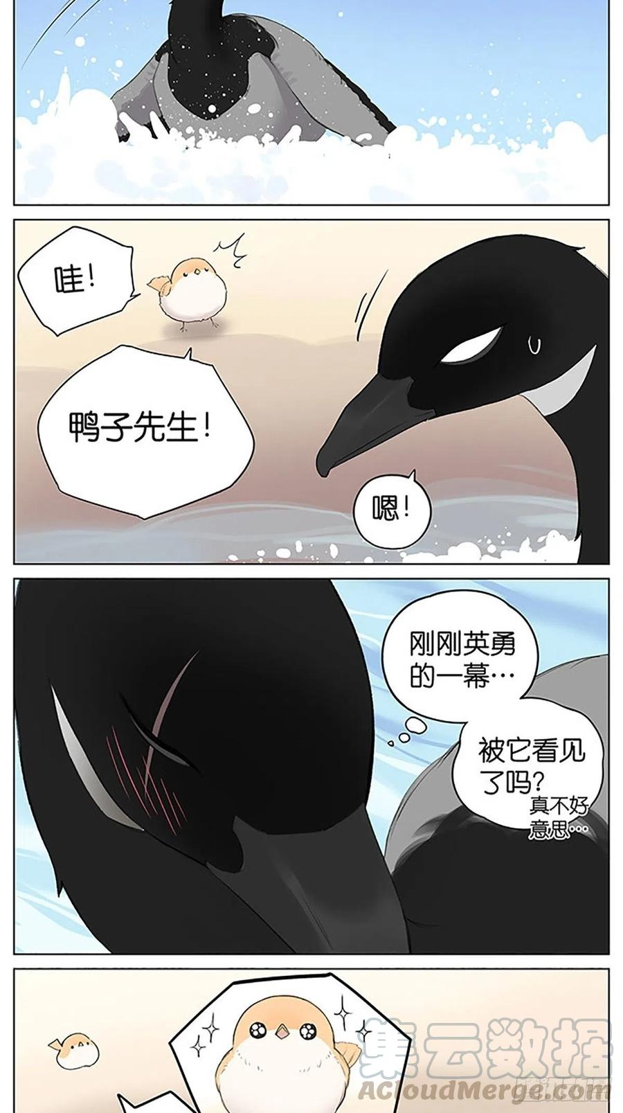 南方的鸟和北方的鸟合集漫画,沙滩上的鸟，夏天啦！5图