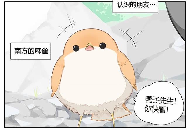 南方的鸟和北方的鸟结局漫画,游泳。2图