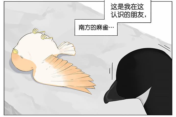 南方的鸟和北方的鸟壁纸漫画,等。2图