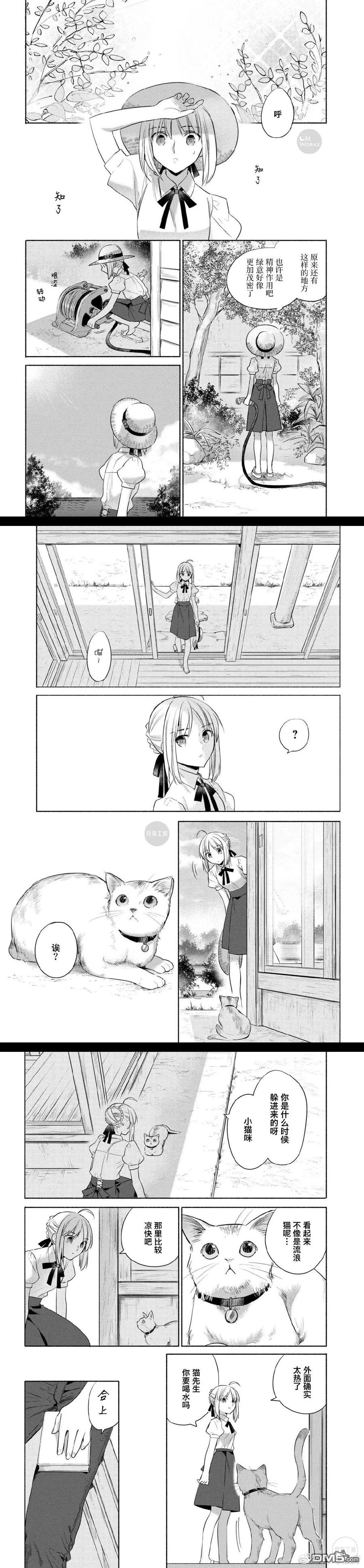 卫宫家今天的饭伊莉雅漫画,025 撕下来，放上去，简便的沙拉盖饭3图