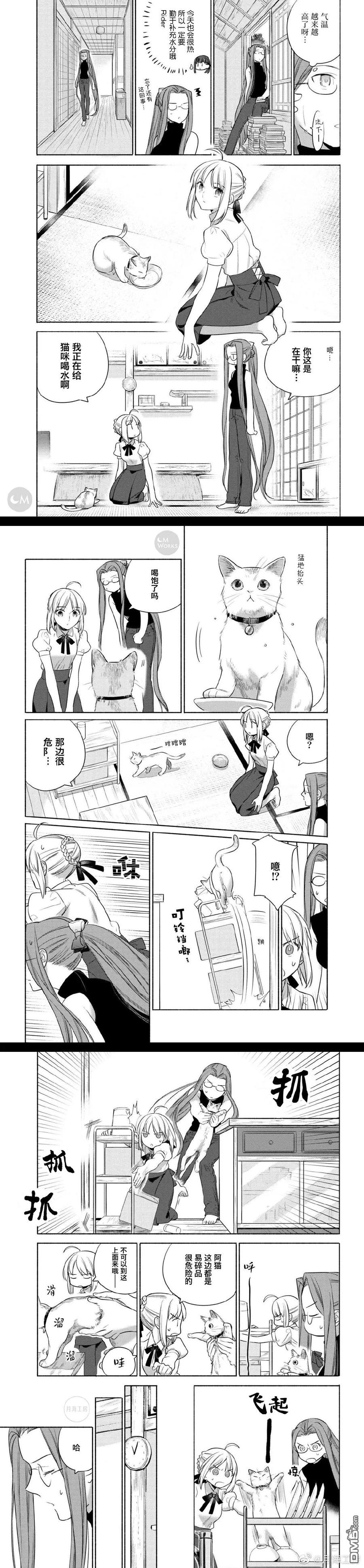 卫宫家今天的饭伊莉雅漫画,025 撕下来，放上去，简便的沙拉盖饭4图