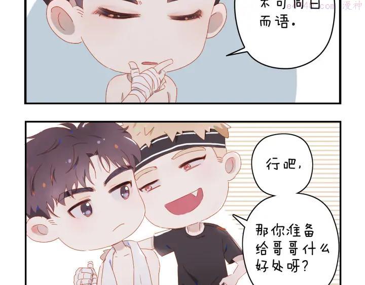 经久不衰和长盛不衰的区别漫画,小甜饼放送4图