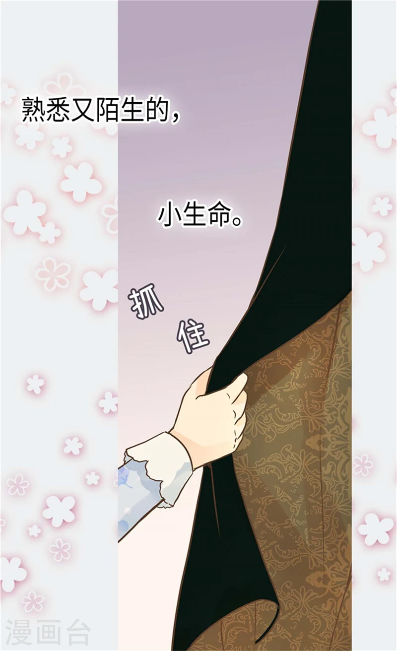 皇帝的独生女免费全集下拉式漫画,第175话 有女儿其实也不错5图