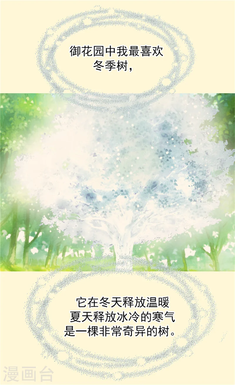 皇帝的独生女动漫免费全集观看漫画,第60话 冬季树2图