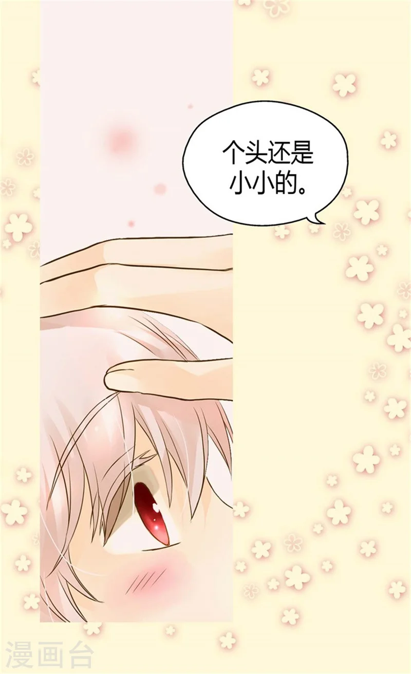 皇帝的独生女大结局漫画,第95话 再次遇到阿西西2图