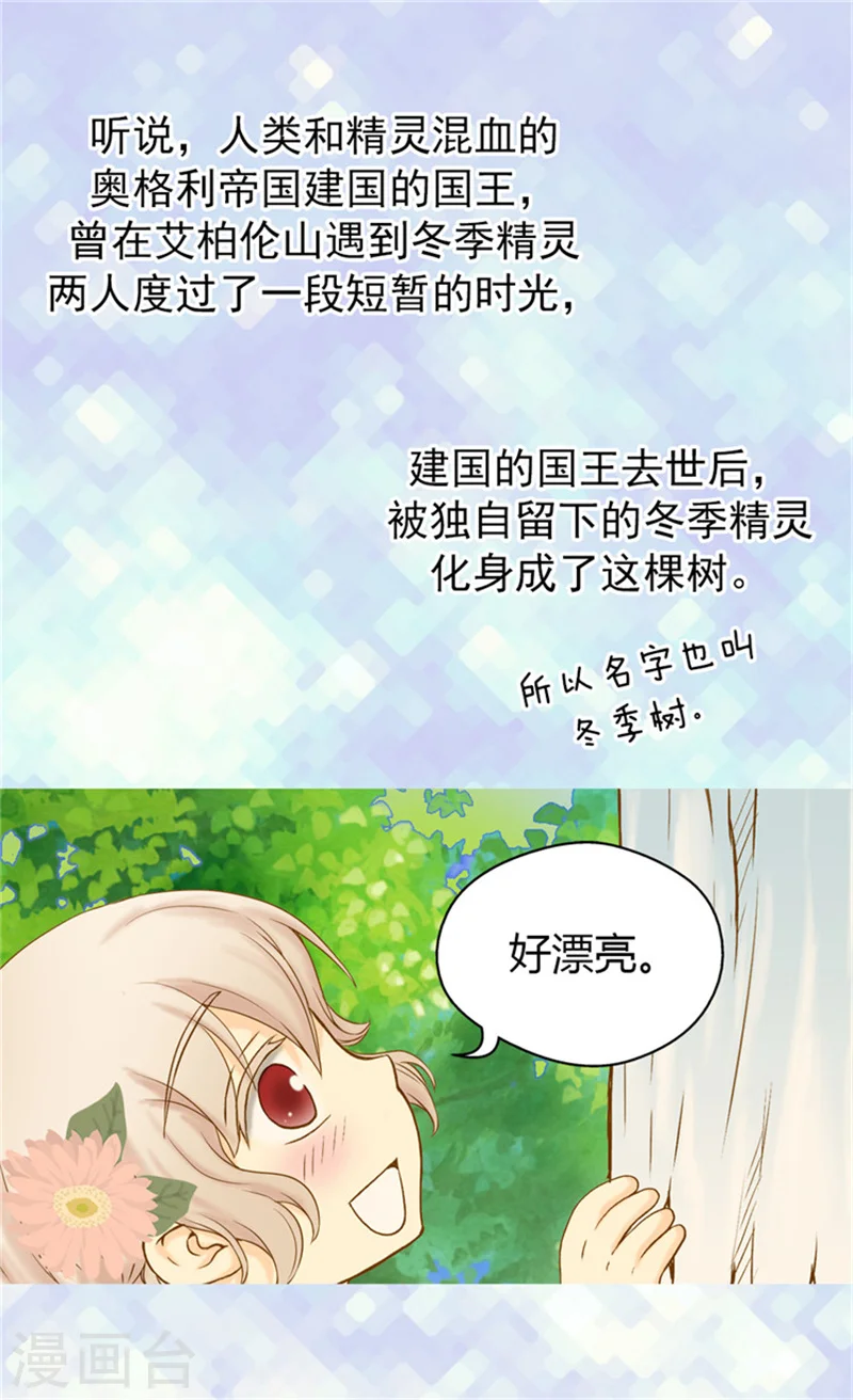 皇帝的独生女动漫免费全集观看漫画,第60话 冬季树3图