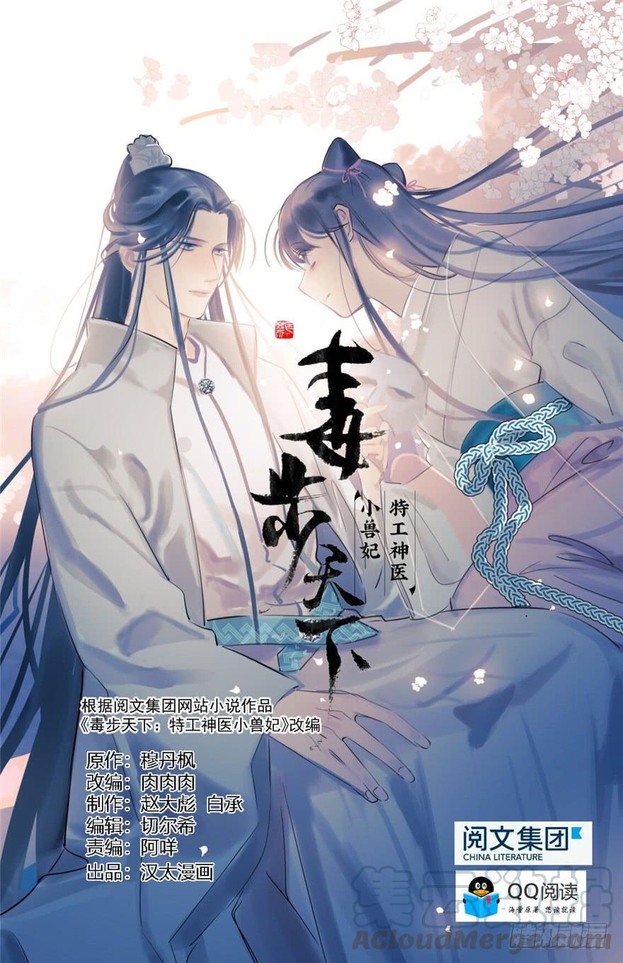 毒步天下特工神医小兽妃148漫画,971图