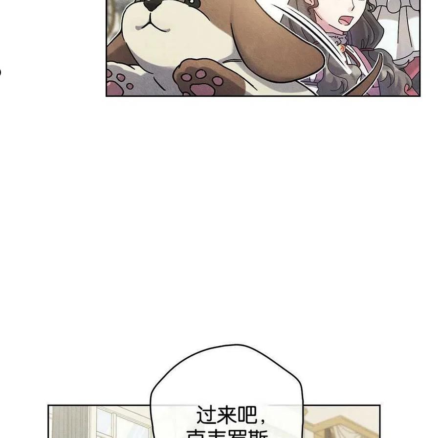 忧郁的小灰灰漫画,第39话3图
