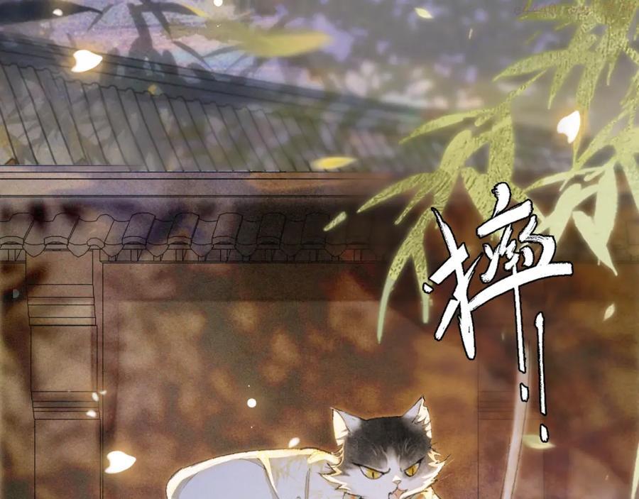 紫禁御喵房什么时候播漫画,第8话 夜探皇宫5图