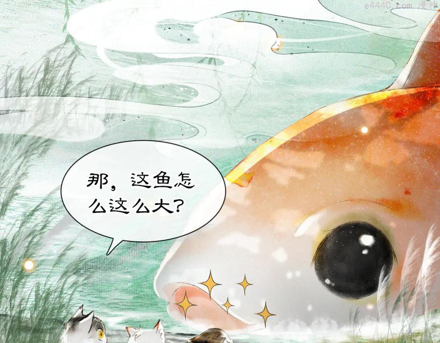 紫禁御喵房什么时候播漫画,第16话 鱼也吸猫？2图