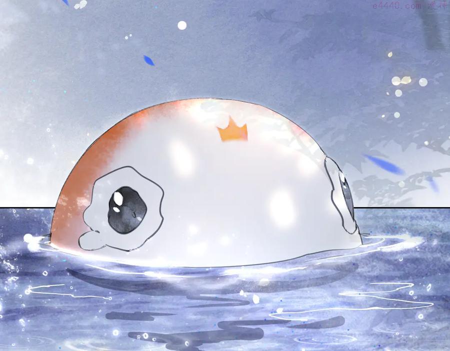 紫禁御喵房什么时候播漫画,第22话 再见，“小”鲤鱼1图