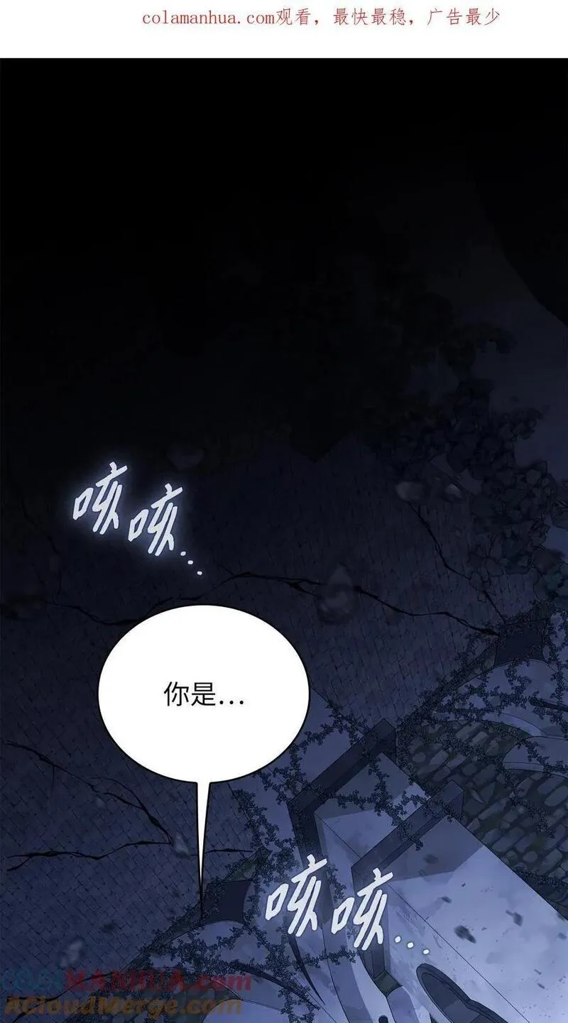双面皇漫画,109 求婚计划1图