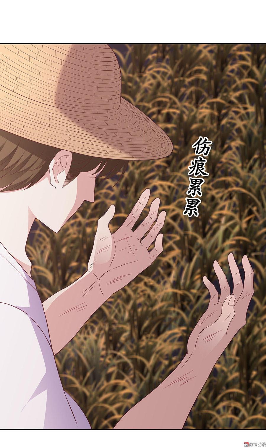 我的女友是只猫暴躁的螃蟹番外漫画,第6话 村头的老程家（上）4图