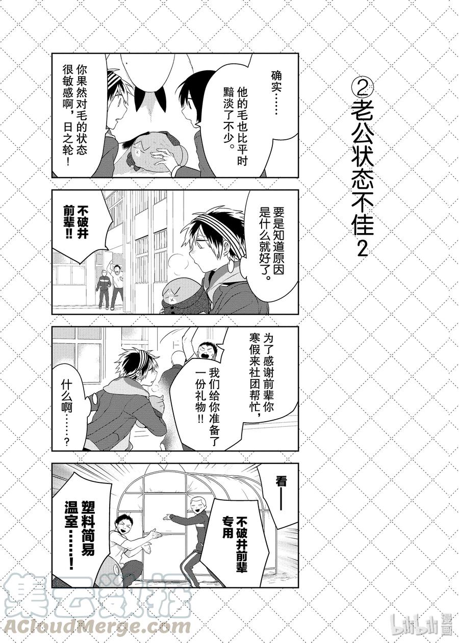 嫁给非人类漫画免费漫画,41.5 老公状态不佳3图