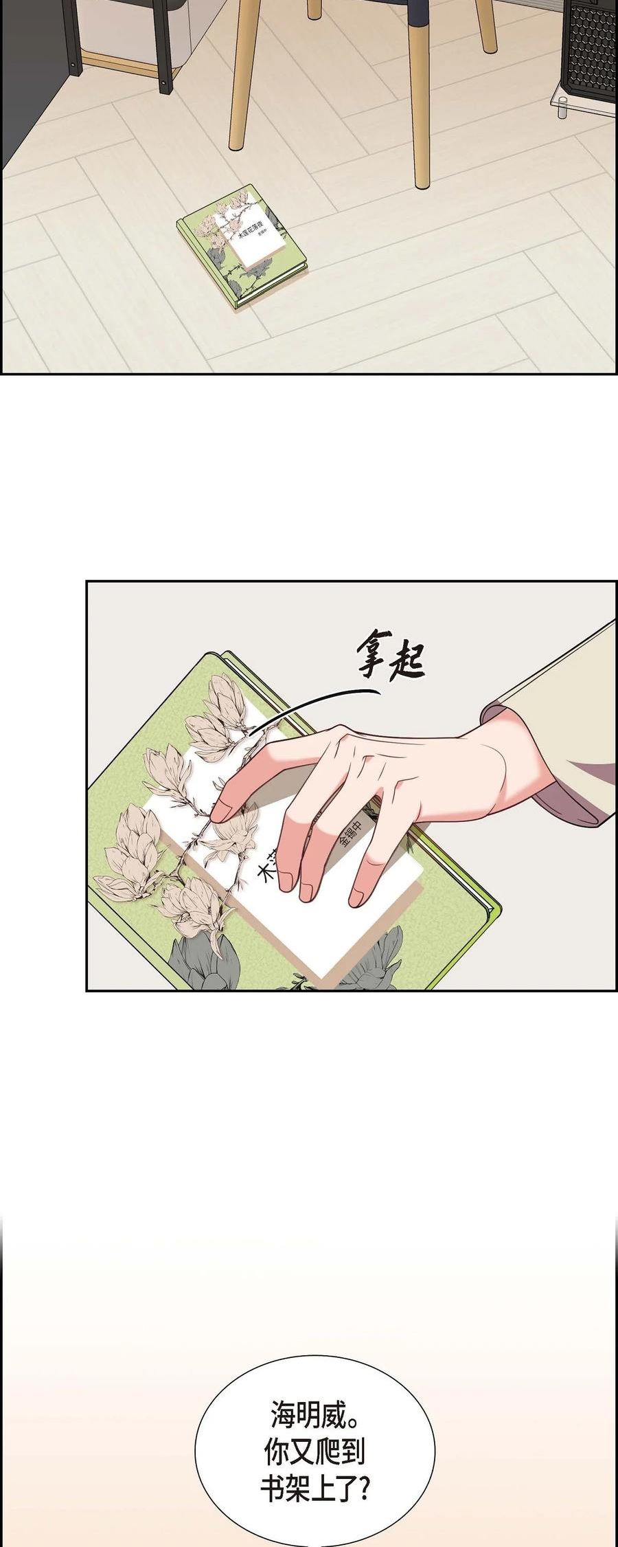 混沌的宇宙这种说法对吗漫画,15 小猫咪2图