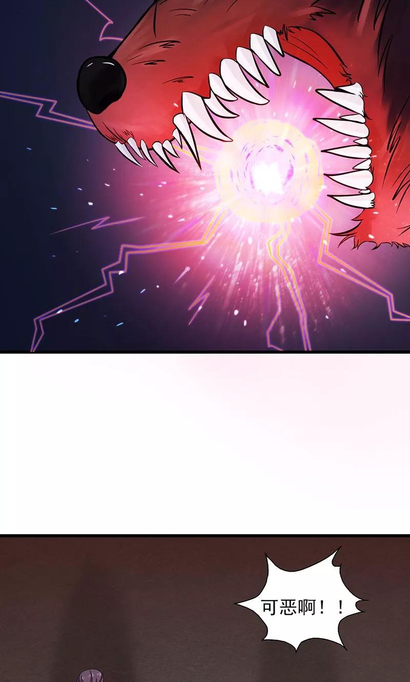 地府我开的免费阅读下拉式漫画,第46话 妖犬4图