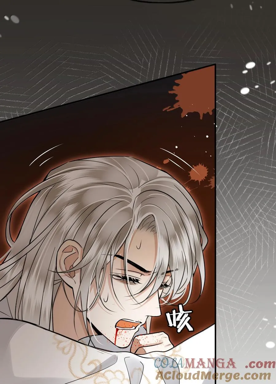 殿下倾城小说完结了吗漫画,112 险境5图