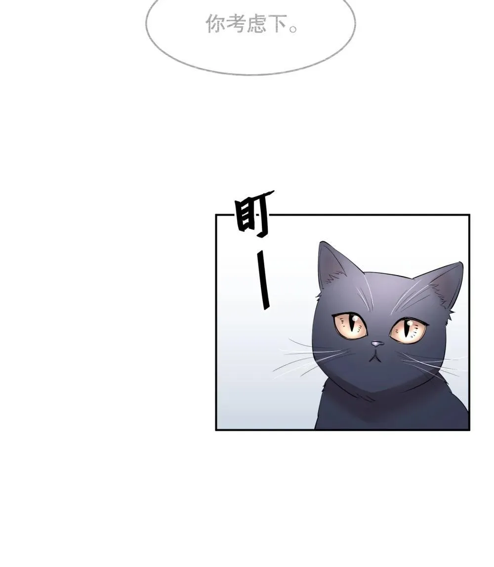 飞鸥不下攻守分别是谁漫画,第97章 “故猫”4图