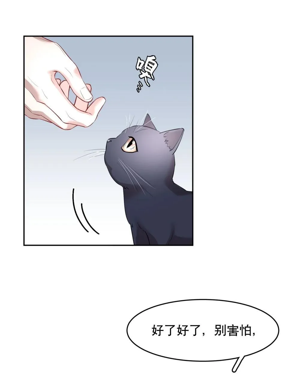 飞鸥不下攻守分别是谁漫画,第97章 “故猫”5图