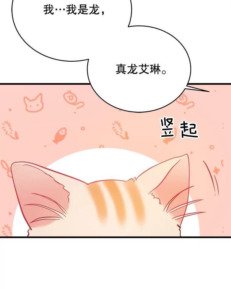 龙宝宝出生时辰吉日漫画,41.狩猎大会4图
