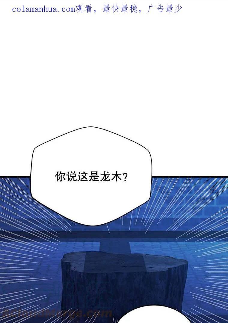 龙宝宝历险记漫画,70.龙木1图