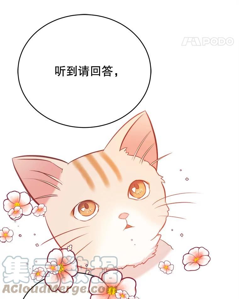 龙宝宝出生时辰吉日漫画,41.狩猎大会5图