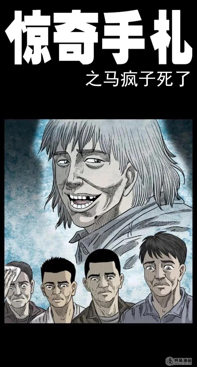 三老爷惊奇手札漫画免费阅读全集漫画,39 马疯子死了1图