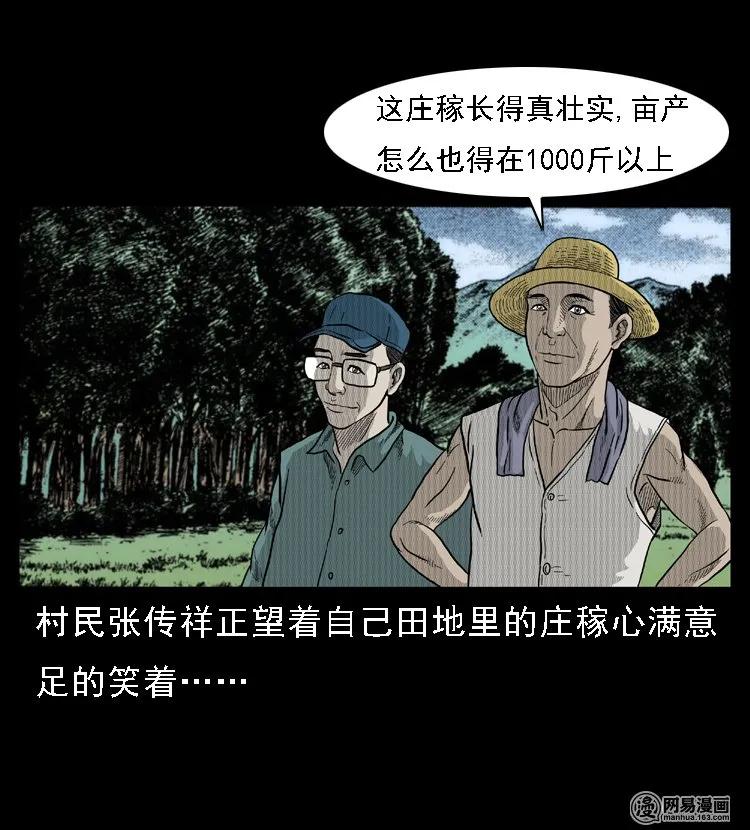 三老爷惊奇手札漫画免费阅读全集漫画,45 富一刀降妖4图
