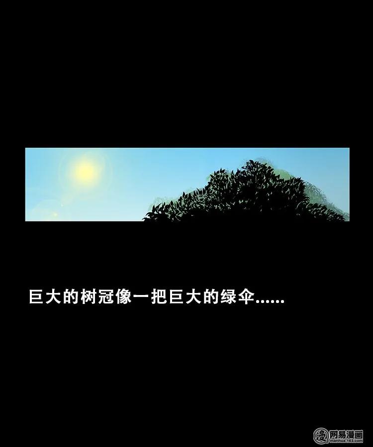 三老爷惊奇手札免费阅读漫画,104 邪树4图