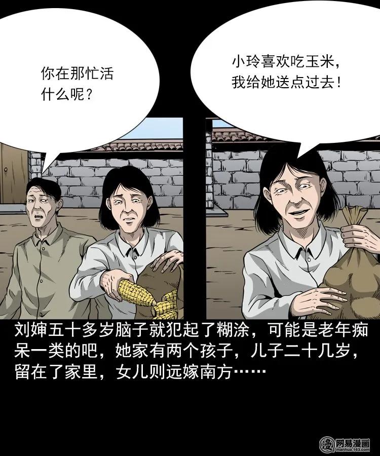 三老爷惊奇手札在线漫画,196 抬不动的棺材4图