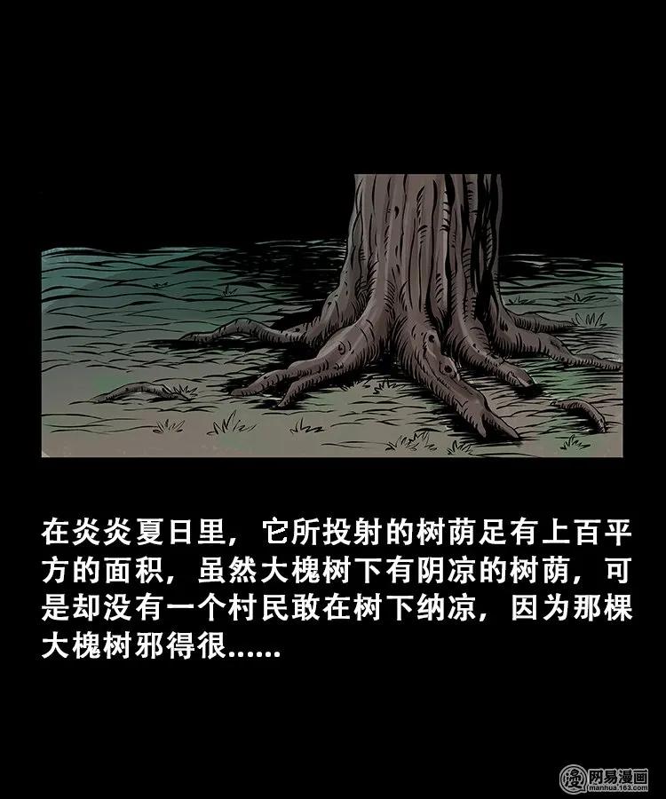三老爷惊奇手札免费阅读漫画,104 邪树5图