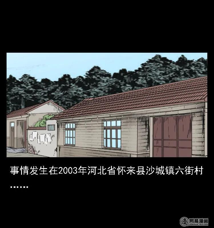 三老爷惊奇手札小说漫画,40 屠夫2图