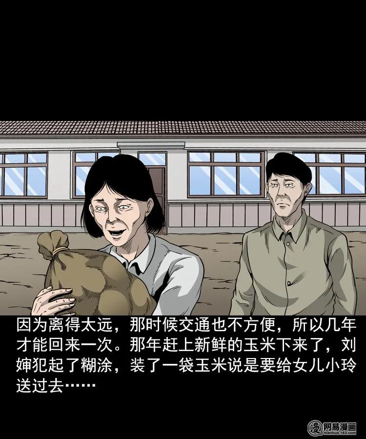 三老爷惊奇手札在线漫画,196 抬不动的棺材5图