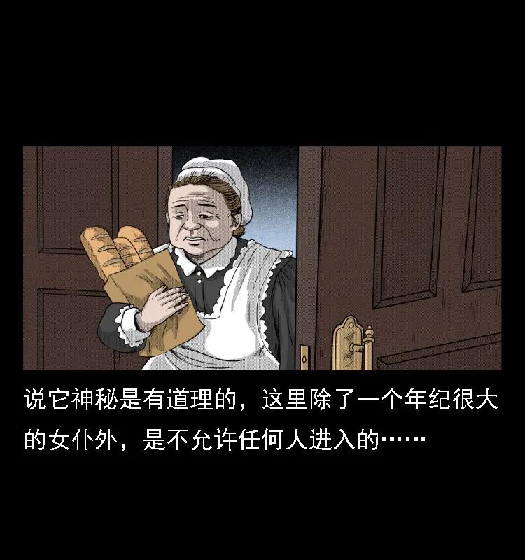 三老爷惊奇手札之老烟鬼漫画全集56未删减漫画,14 魔术师唐纳德3图
