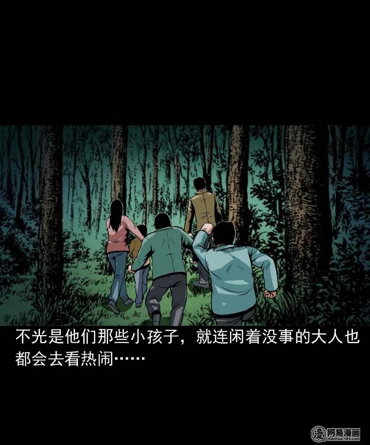 三老爷惊奇手札在哪里看漫画漫画,178 发夹4图