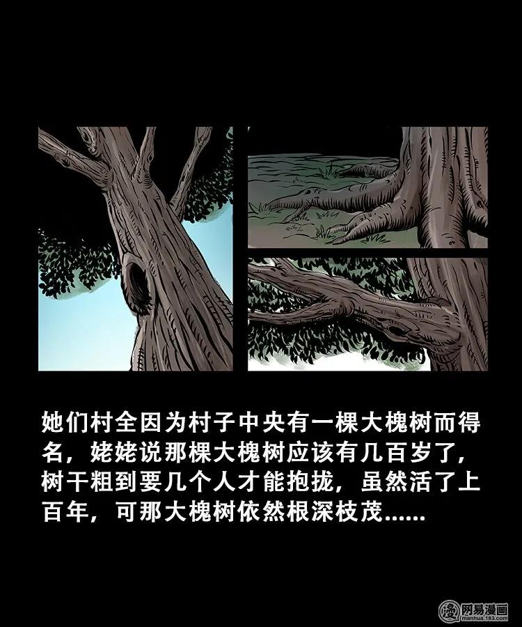 三老爷惊奇手札免费阅读漫画,104 邪树3图
