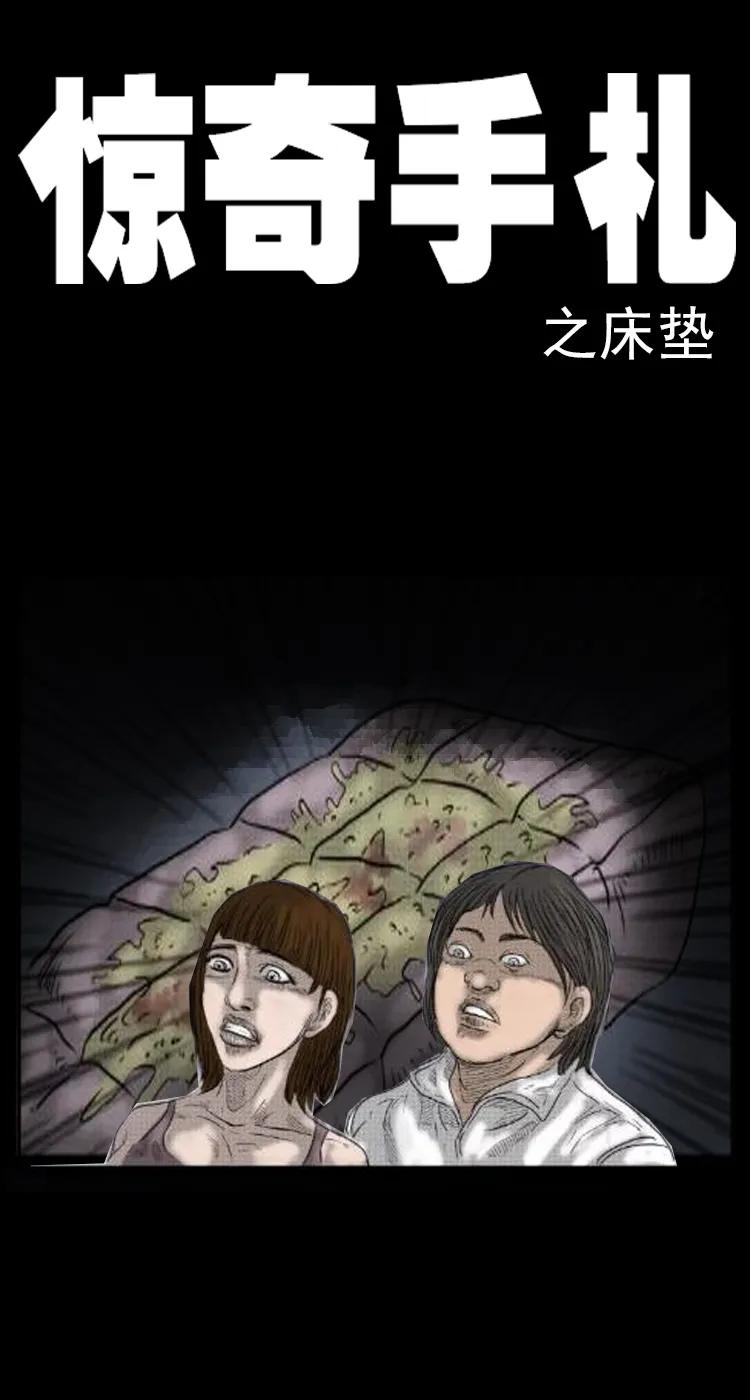 三老爷惊奇手札漫画免费阅读全集漫画,12 床垫1图