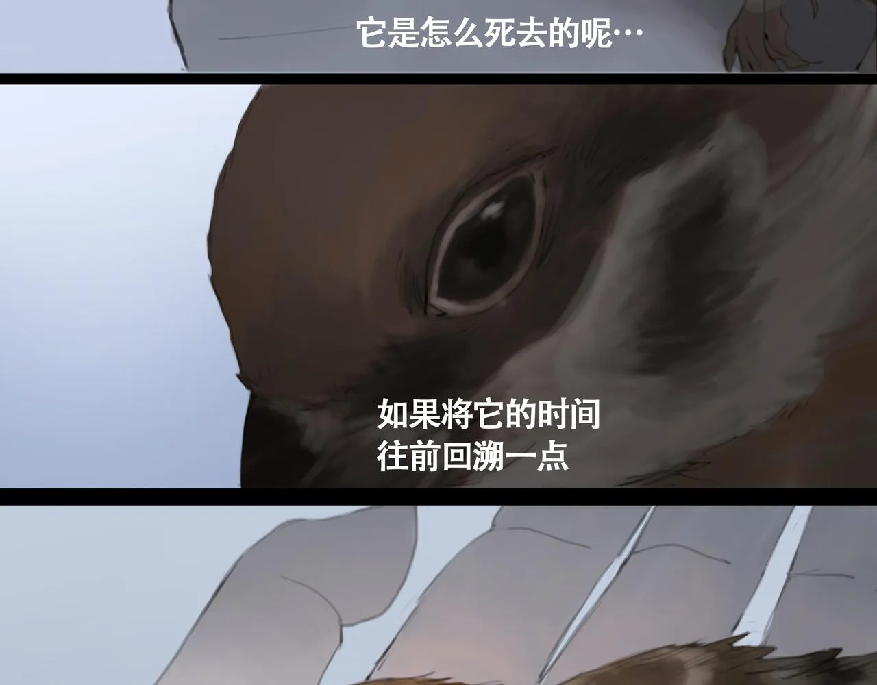闽人发1998187号文件全文下载漫画,第十二话 齐明素真正的能力2图