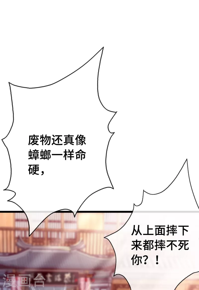 兽黑狂妃漫画下拉式漫画,第2话 打你脸还要选时间？2图