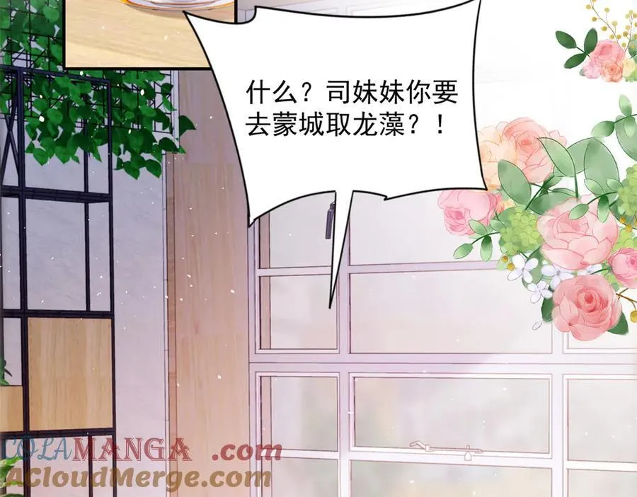 龙崽来袭妈咪狠又辣漫画,108 蒙城城主5图