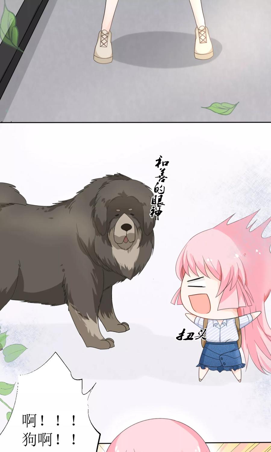 狼性总裁的魅惑新娘小说全文阅读漫画,第15话 被狗毁掉的美好生活！3图