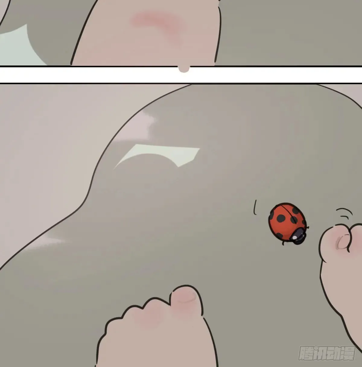 敖敖待捕漫画免费阅读包子动漫漫画,后篇12 偷藏3图