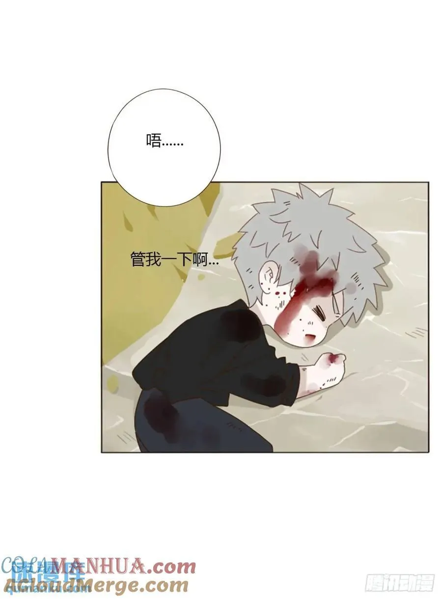 拥然入怀免费阅读全文下载漫画,一零三章 阴谋25图