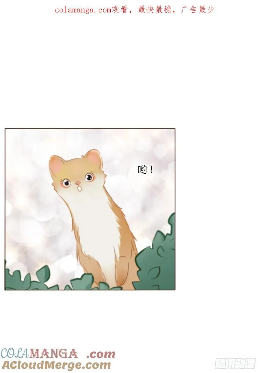 拥抱你离去原唱张北北漫画,一四一章 叶梓1图